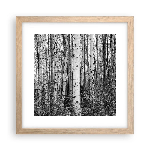 Plakat w ramie jasny dąb - Brzozowa kolumnada - 30x30 cm