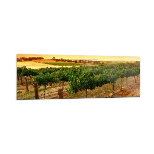Obraz na szkle - Winorośle na plantacji przy złotym zachodzie słońca - 160x50cm - Napić się słońca - Nowoczesna dekoracja ścienna do salonu i sypialni ARTTOR