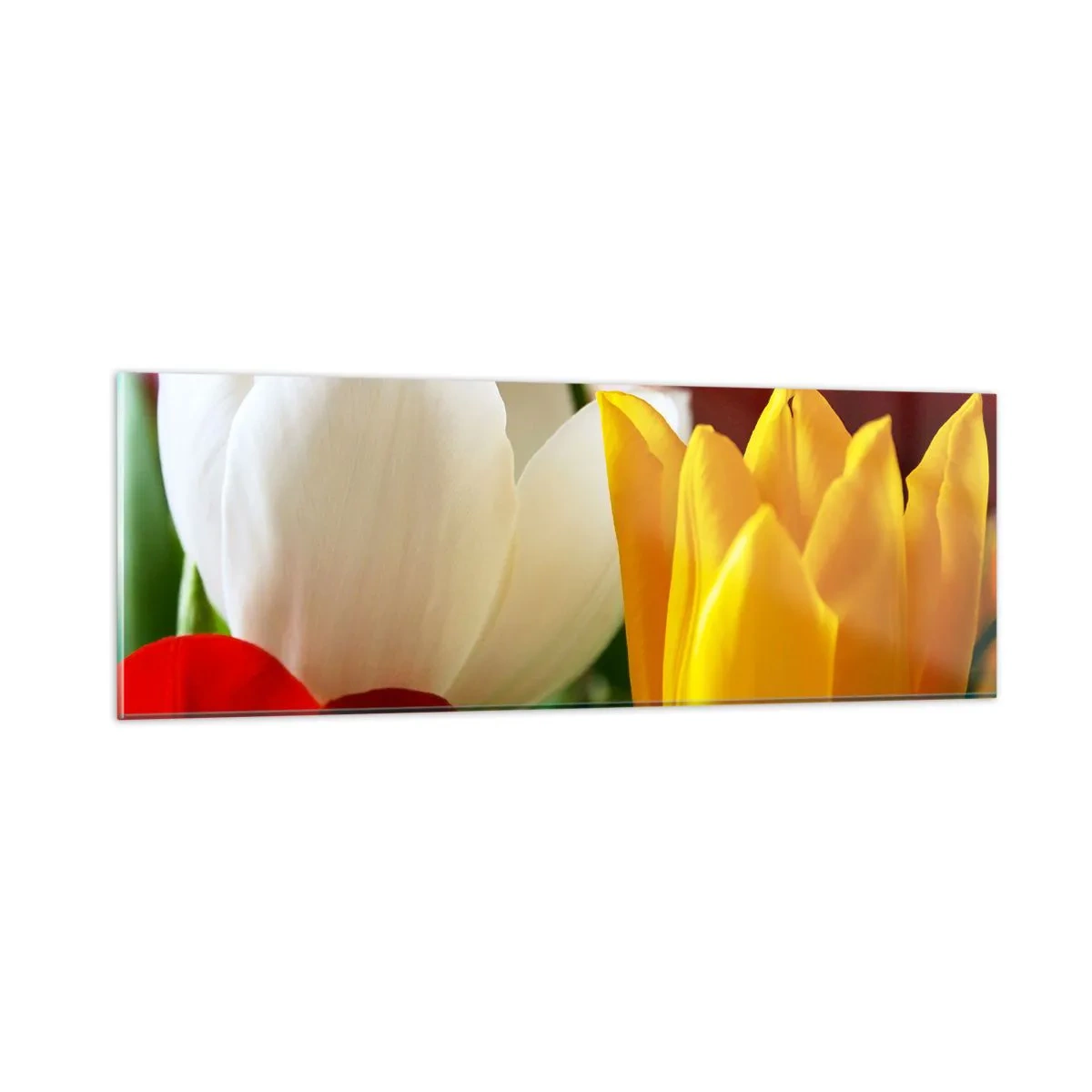 Obraz na szkle - Tulipanowa gorączka - 90x30 cm