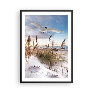 Plakat w czarnej ramie - Ptak w locie nad wydmami i morzem o zachodzie słońca - 50x70cm - Wiatr od morza - Nowoczesna dekoracja ścienna do salonu i sypialni ARTTOR