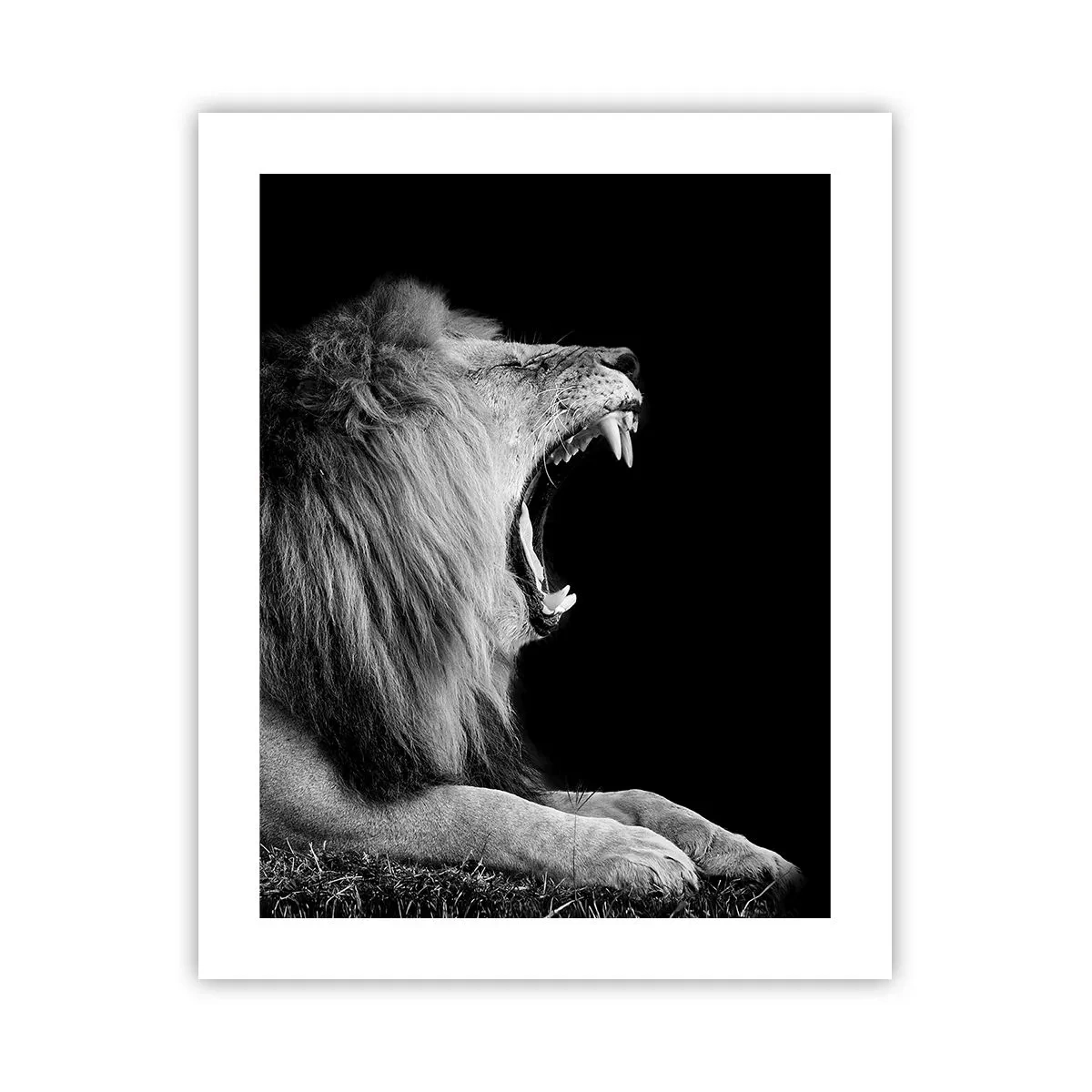 Plakat - Bez żadnych wątpliwości - 40x50 cm