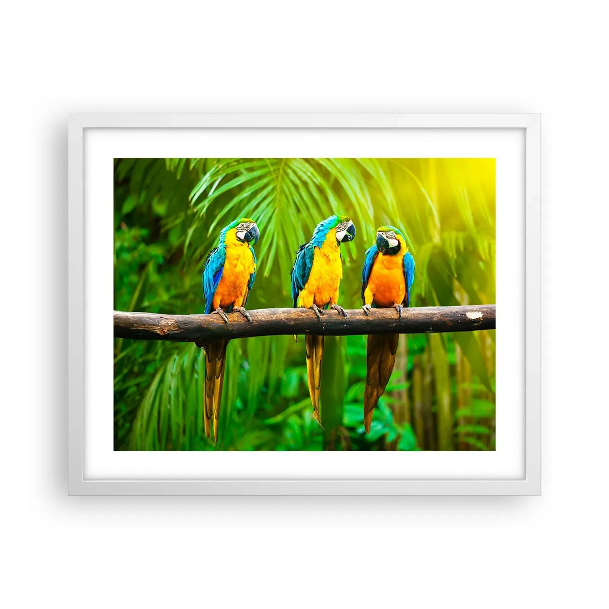 Plakat w białej ramie - A słyszałaś, że ona…? - 50x40 cm