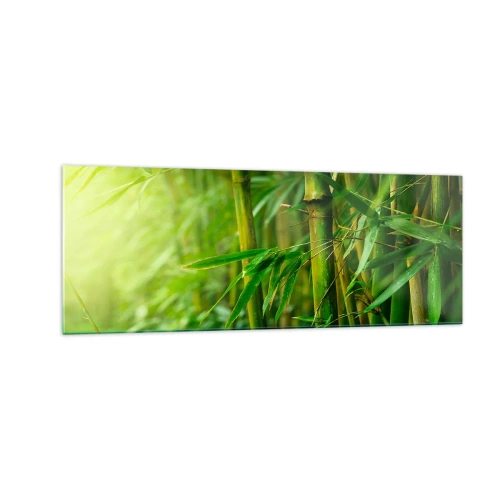 Obraz na szkle - Zielony bambusowy las w delikatnym świetle - 140x50cm - Poznać zieleń samą w sobie - Nowoczesna dekoracja ścienna do salonu i sypialni ARTTOR