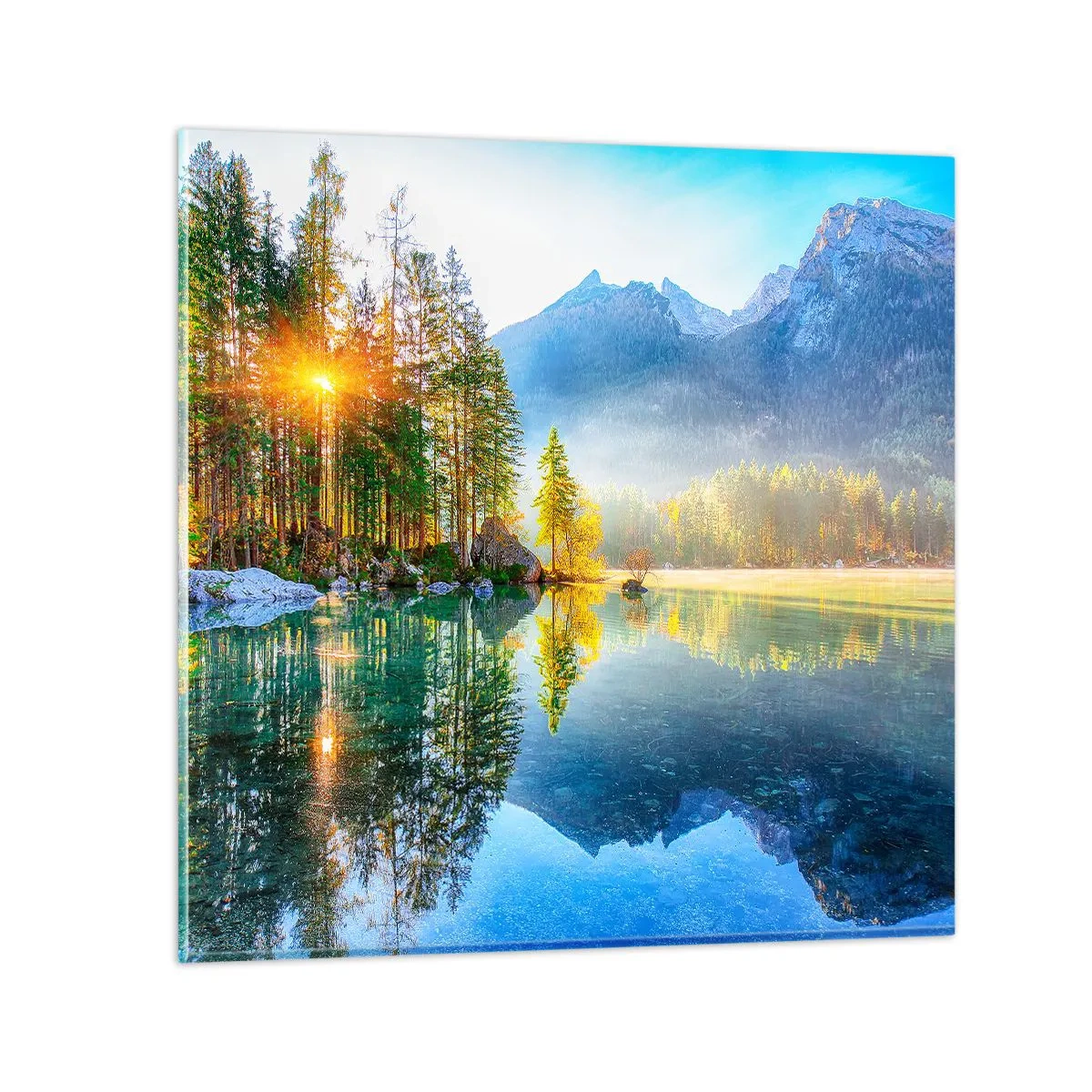 Obraz na szkle - Majestat i słodycz - 60x60 cm