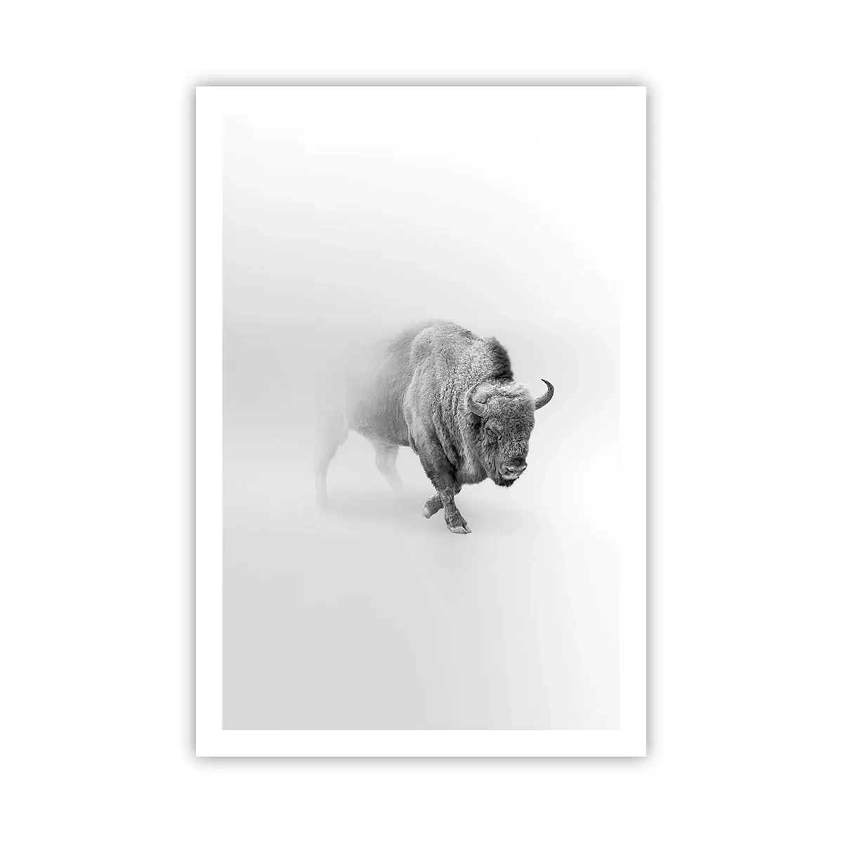 Plakat - Król prerii - 61x91 cm