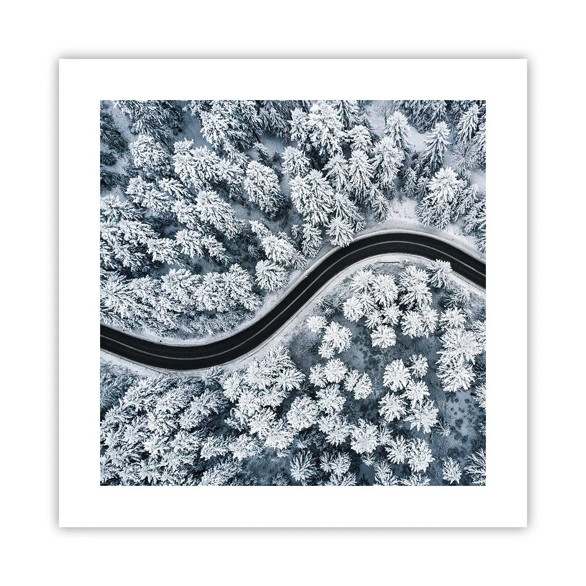 Plakat - Przez zimowy las - 40x40 cm