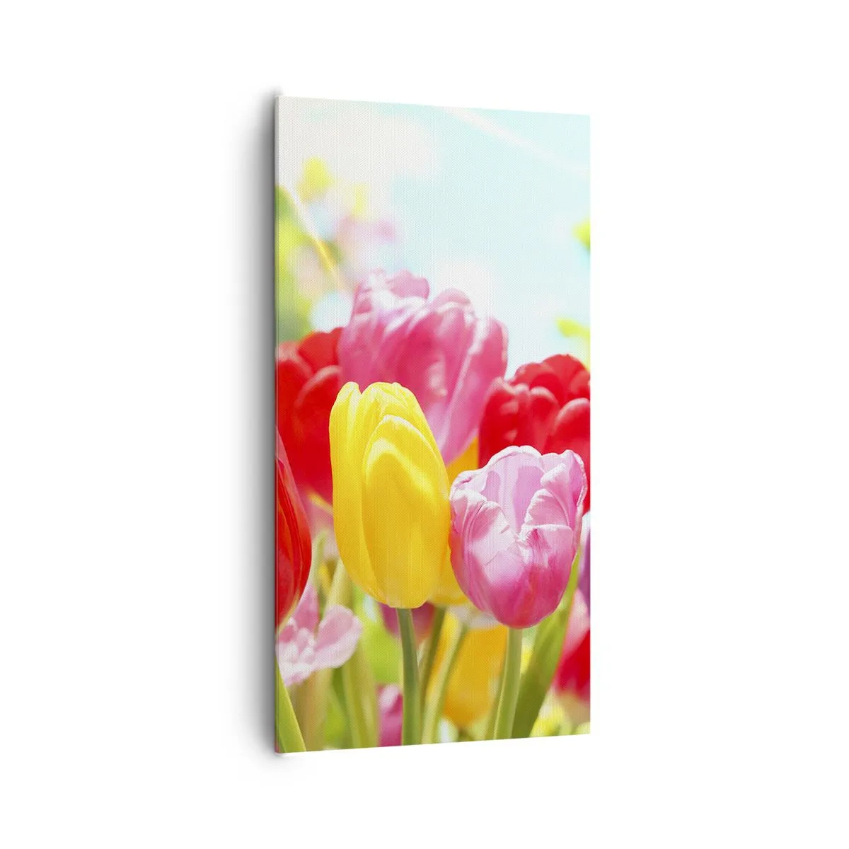 Obraz na płótnie - To my, kolory maja! - 65x120 cm