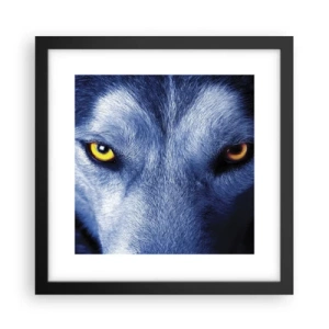 Plakat w czarnej ramie - Hipnotyzujące spojrzenie - 30x30 cm