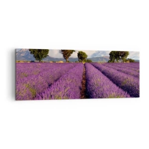 Obraz na płótnie - Pole lawendy z drzewami na tle gór i nieba - 140x50cm - Lawendowe łany - Nowoczesna dekoracja ścienna do salonu i sypialni ARTTOR