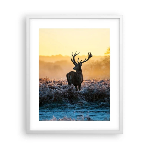 Plakat w białej ramie - Koronowany na swoich włościach - 40x50 cm
