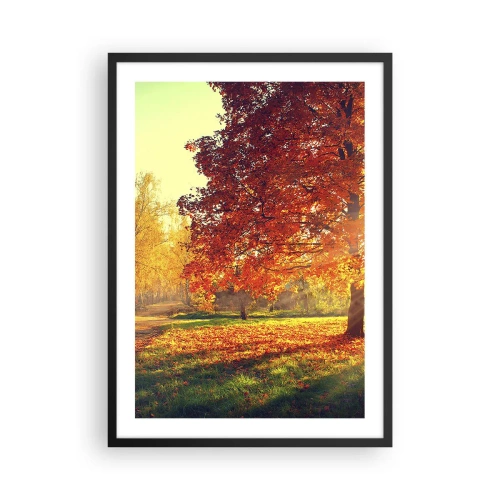 Plakat w czarnej ramie - Jesienny park z drzewem o złotych liściach w słońcu - 50x70cm - Rude jest piękne - Nowoczesna dekoracja ścienna do salonu i sypialni ARTTOR