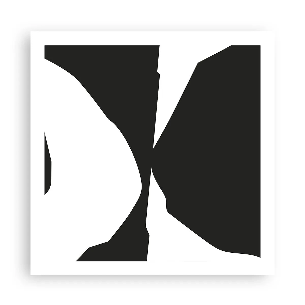 Plakat - Pozytyw -negatyw - 60x60 cm