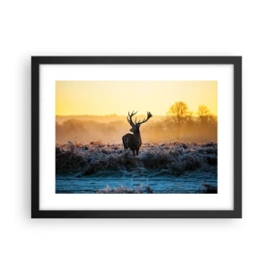 Plakat w czarnej ramie - Koronowany na swoich włościach - 40x30 cm