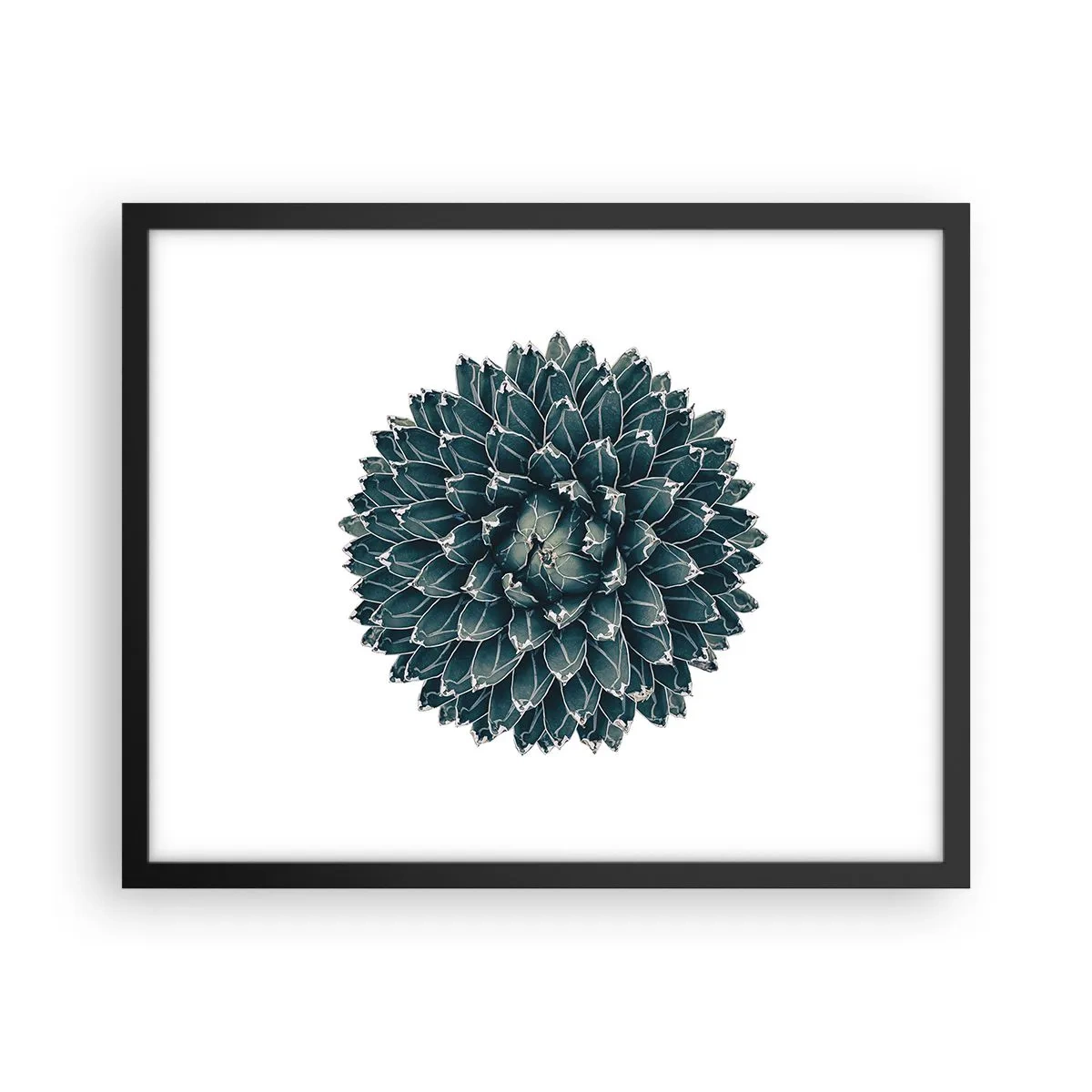 Plakat w czarnej ramie - Gwiazda pustyni - 50x40 cm