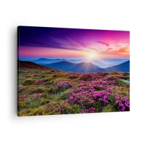 Vászonkép - Hegyi rét virágokkal naplementekor - 70x50cm - A gyógynövények friss fürtjei illatoztak a mezőkről - Modern fali dekoráció nappalihoz és hálószobához ARTTOR