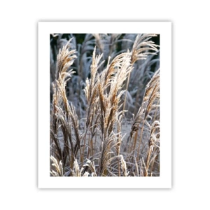 Plakat - Szronem ustrojone - 40x50 cm