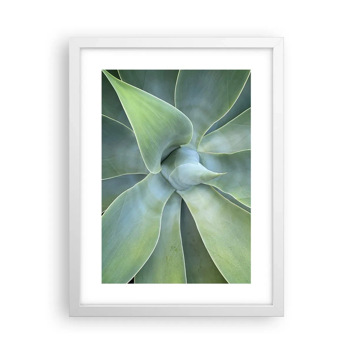 Plakat w białej ramie - Narodziny zieleni - 30x40 cm