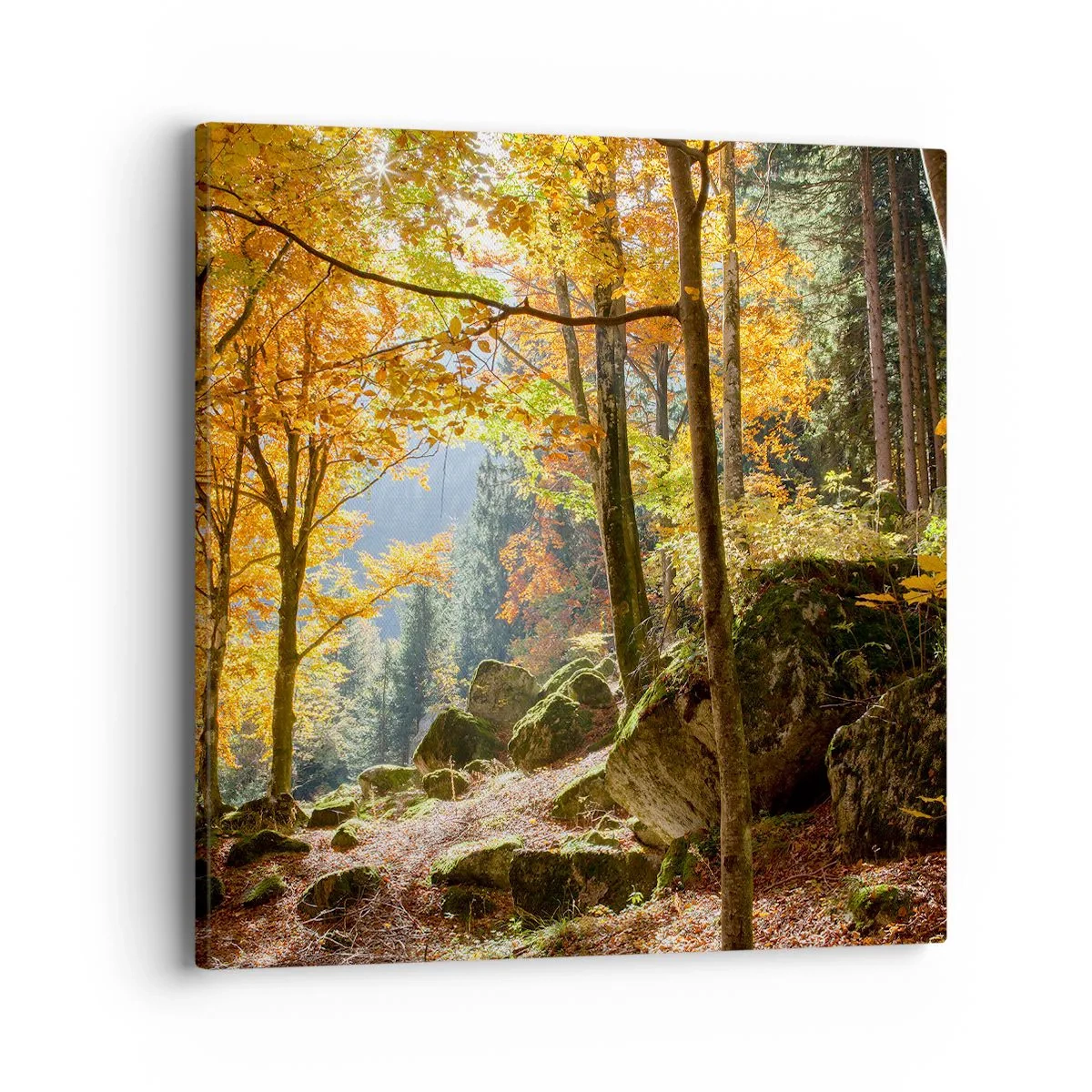 Obraz na płótnie - Czas na odpoczynek - 40x40 cm