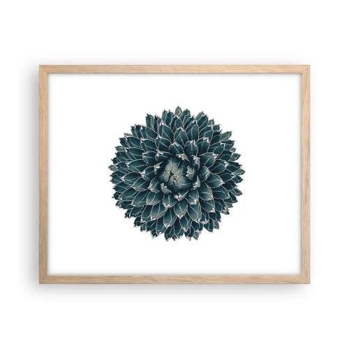 Plakat w ramie jasny dąb - Gwiazda pustyni - 50x40 cm