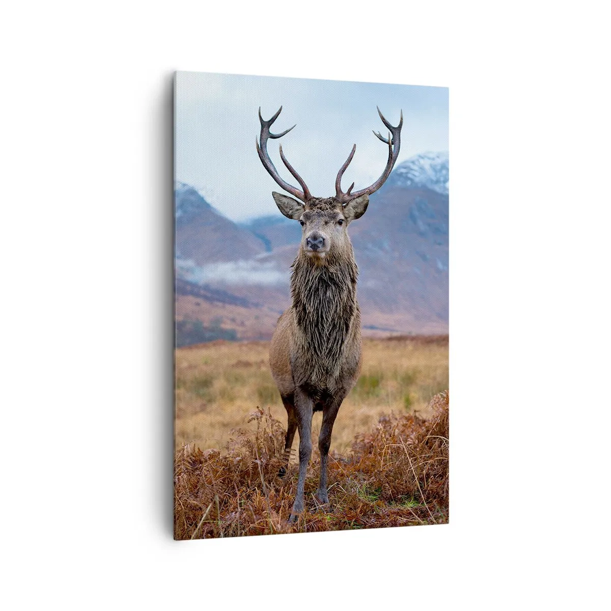 Obraz na płótnie - Dumny jeleń stojący na łące z górskim tłem - 80x120cm - Na własnej ziemi - Nowoczesna dekoracja ścienna do salonu i sypialni ARTTOR