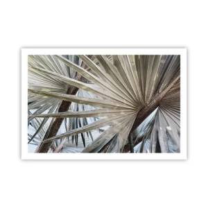 Plakat - Wachlarze w tropikach - 91x61 cm