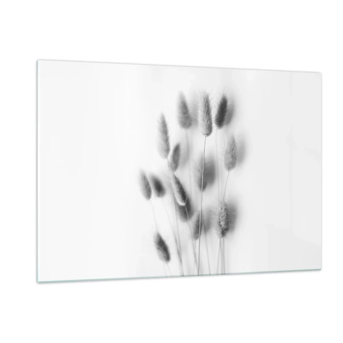 Obraz na szkle - Czarno-białe kłosy trawy na jasnym tle w stylu minimalistycznym - 120x80cm - Jej puszystość trawa - Nowoczesna dekoracja ścienna do salonu, kuchni i sypialni ARTTOR