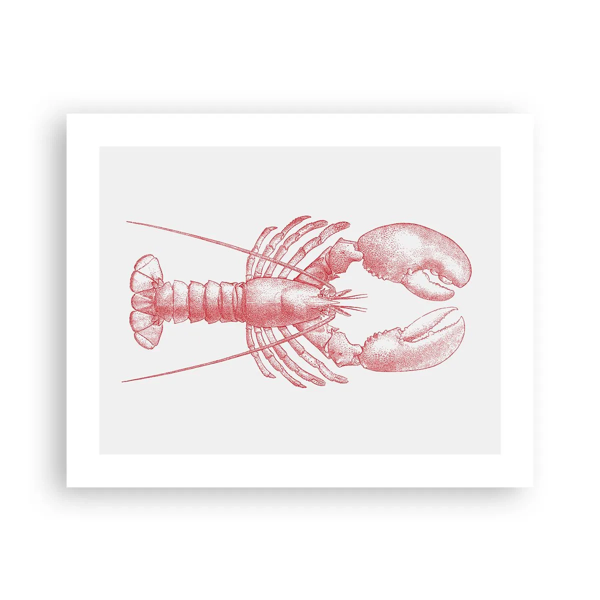 Plakat - Homar godny Homera - 50x40 cm
