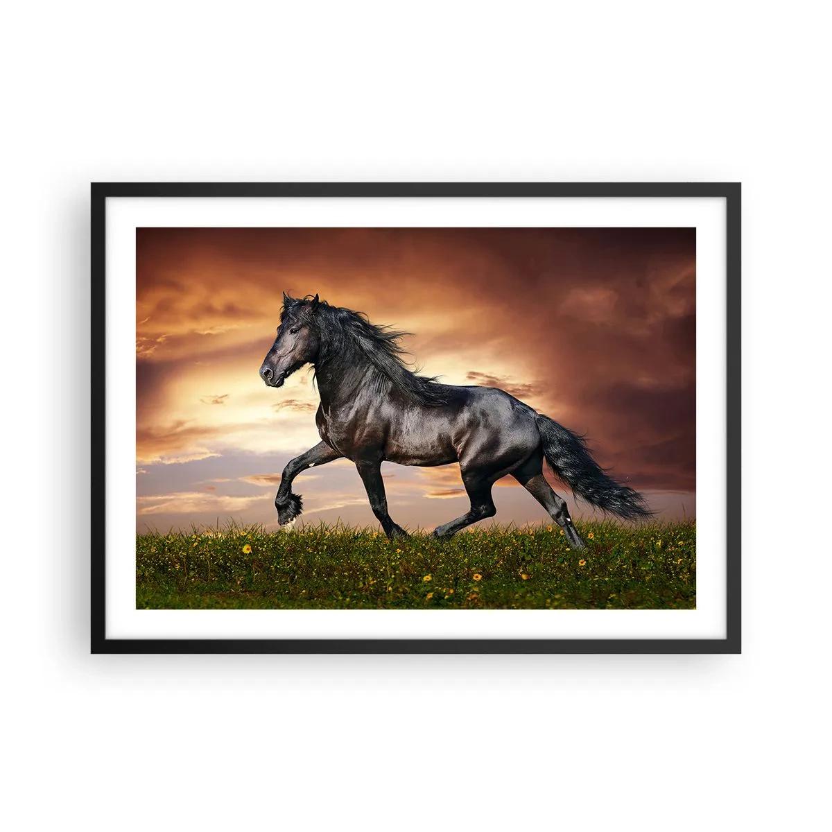 Plakat w czarnej ramie - Czarny koń galopujący na tle zachodzącego słońca - 70x50cm - Czarny książę - Nowoczesna dekoracja ścienna do salonu i sypialni ARTTOR