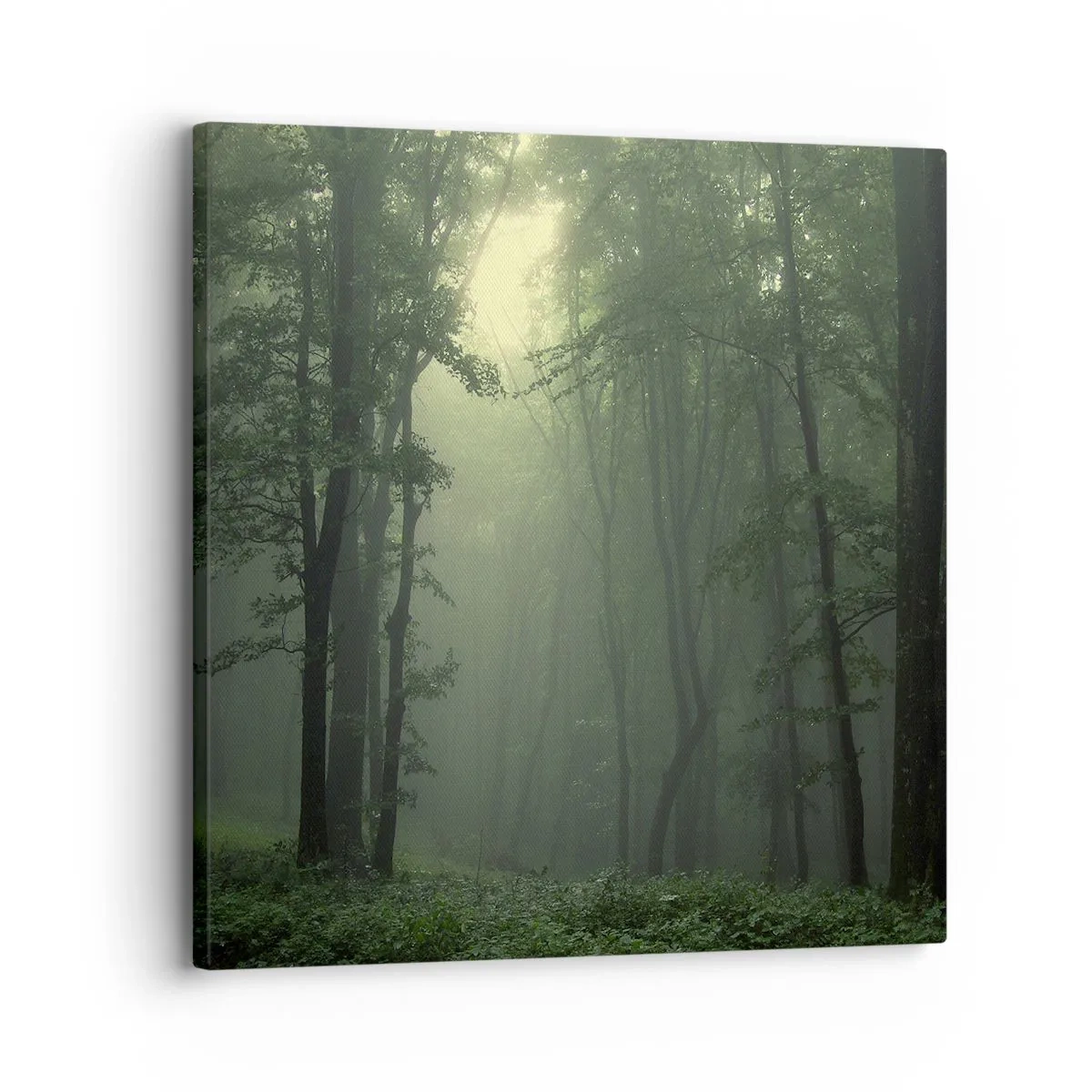 Obraz na płótnie - Zanim się obudzi - 30x30 cm