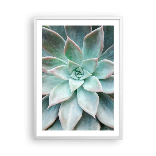Plakat w białej ramie - Serce pustyni - 50x70 cm