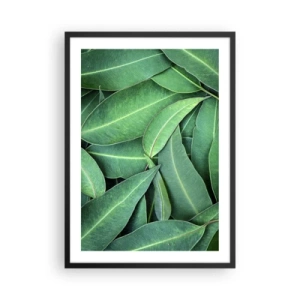 Plakat w czarnej ramie - Zielone liście ułożone w gęstą kompozycję - 50x70cm - Soczyste i świeże - Nowoczesna dekoracja ścienna do salonu i sypialni ARTTOR