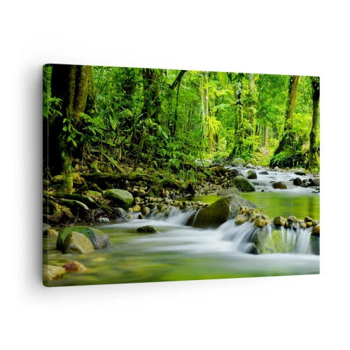 Obraz na płótnie - Strumień w lesie tropikalnym z bujną zielenią - 70x50cm - Popłynąć w morzu zieleni - Nowoczesna dekoracja ścienna do salonu i sypialni ARTTOR