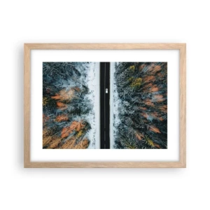 Plakat w ramie jasny dąb - Przeciąć zimowy las - 40x30 cm