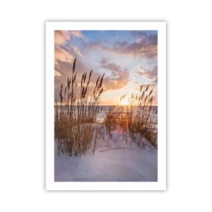 Plakat - Trawy na wydmach oświetlone promieniami zachodzącego słońca - 50x70cm - Pożegnanie słońca i wiatru - Nowoczesna dekoracja ścienna do salonu, kuchni i sypialni ARTTOR
