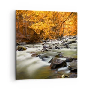 Obraz na płótnie - Potok w złotym lesie - 50x50 cm