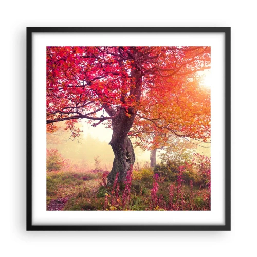 Plakat w czarnej ramie - Szał rozkwitu - 50x50 cm