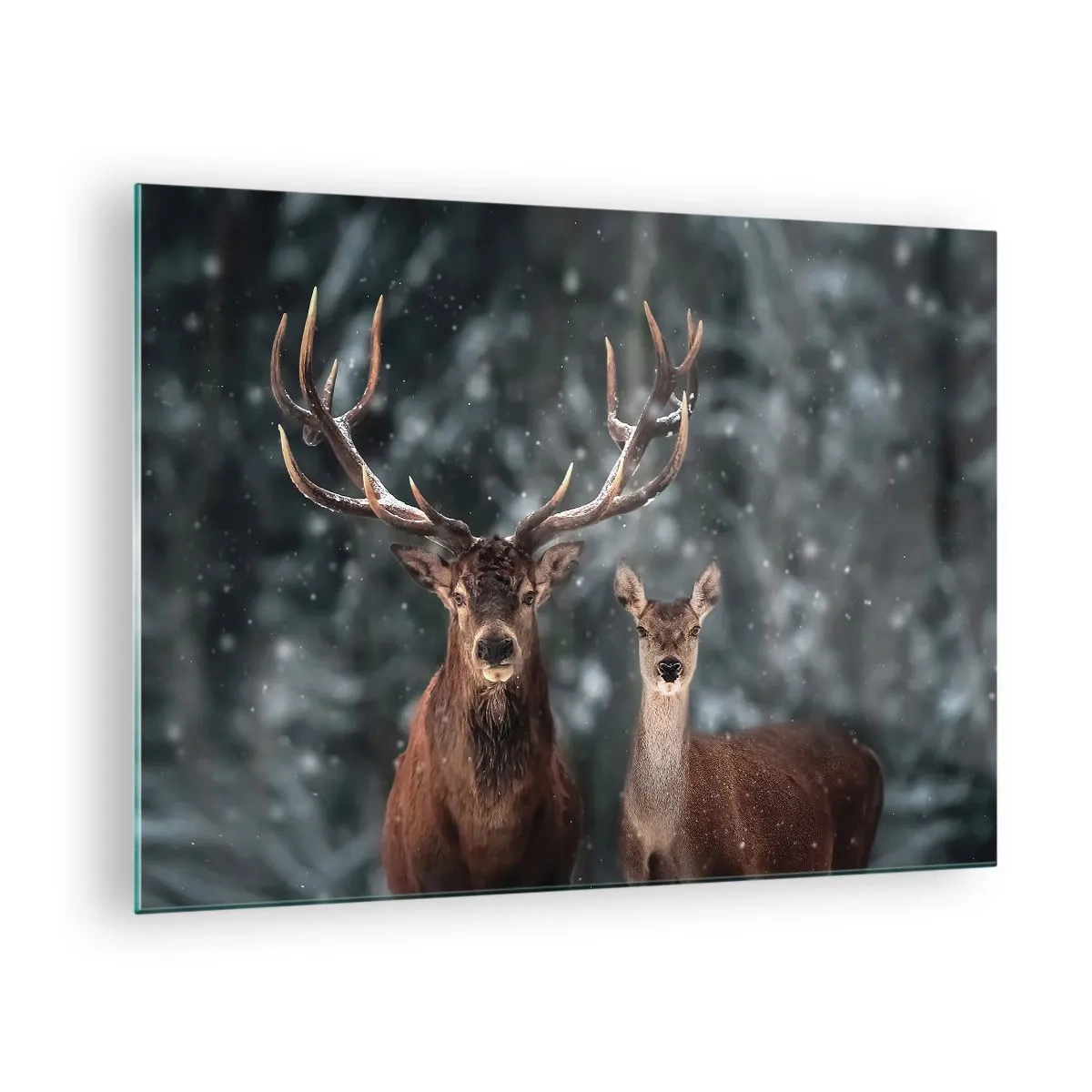Obraz na szkle - Jeleń i łania w zimowym lesie wśród śniegu - 70x50cm - Pan lasu z małżonką - Nowoczesna dekoracja ścienna do salonu i sypialni ARTTOR