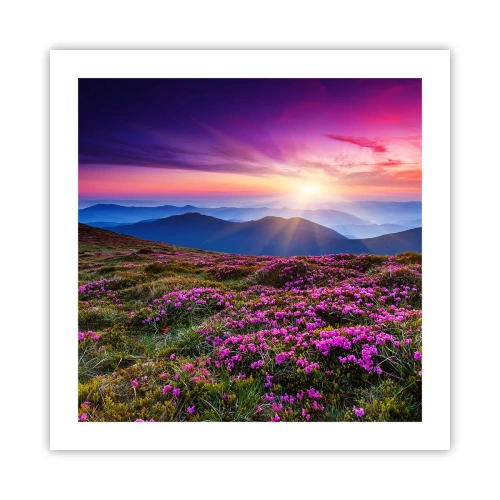 Plakat - Ziół zapachniały świeże pęki od niw - 50x50 cm