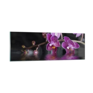 Obraz na szkle - Liliowe odbicie piękna - 90x30 cm