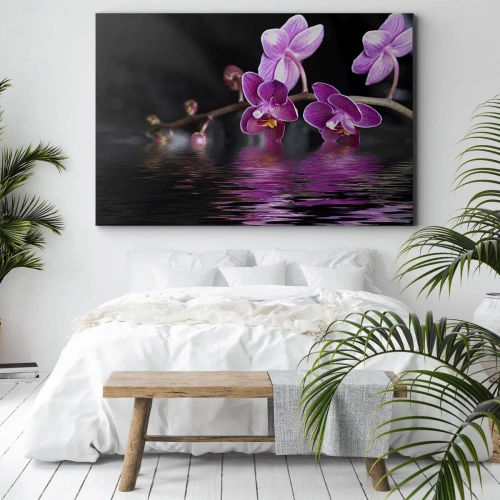 Obraz na płótnie - Liliowe odbicie piękna - Fioletowe orchidee nad spokojną wodą na tle czarnym - 70x50cm