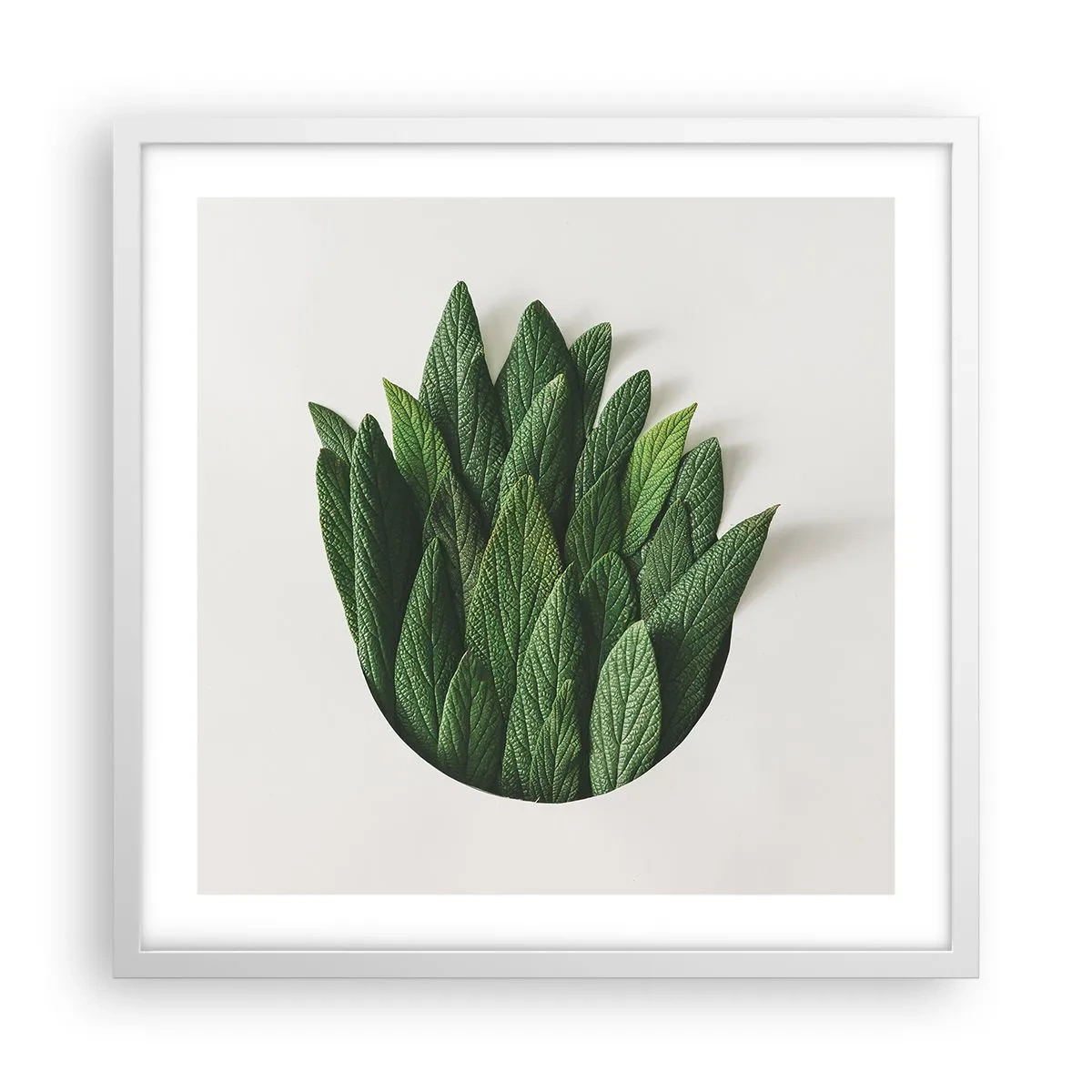 Plakat w białej ramie - Nieposkromiona ciekawość - 50x50 cm