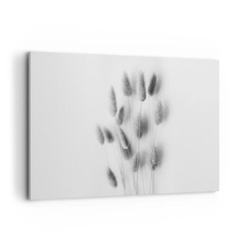 Obraz na płótnie - Delikatne trawy w odcieniach szarości na białym tle - 120x80cm - Jej puszystość trawa - Nowoczesna dekoracja ścienna do salonu, kuchni i sypialni ARTTOR