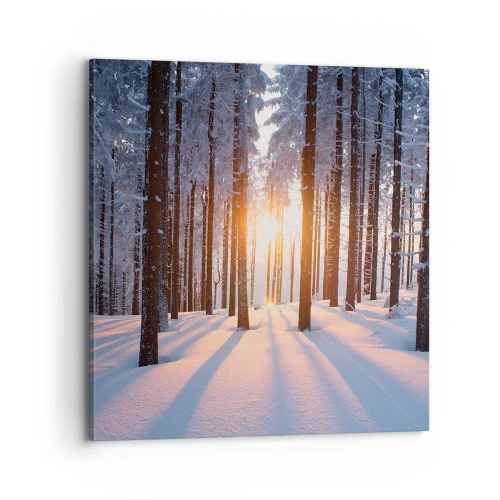 Obraz na płótnie - Wyraźnie czarno na białym - 70x70 cm