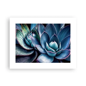 Plakat - Witalna siła - 40x30 cm