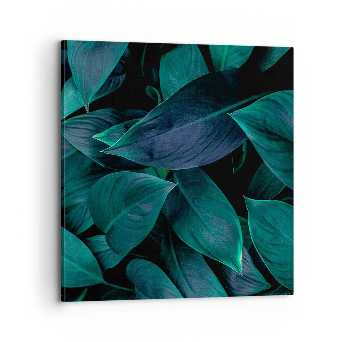 Obraz na płótnie - Zieleń sama w sobie - 70x70 cm