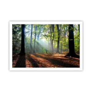 Plakat - Blaski i cienie - 91x61 cm