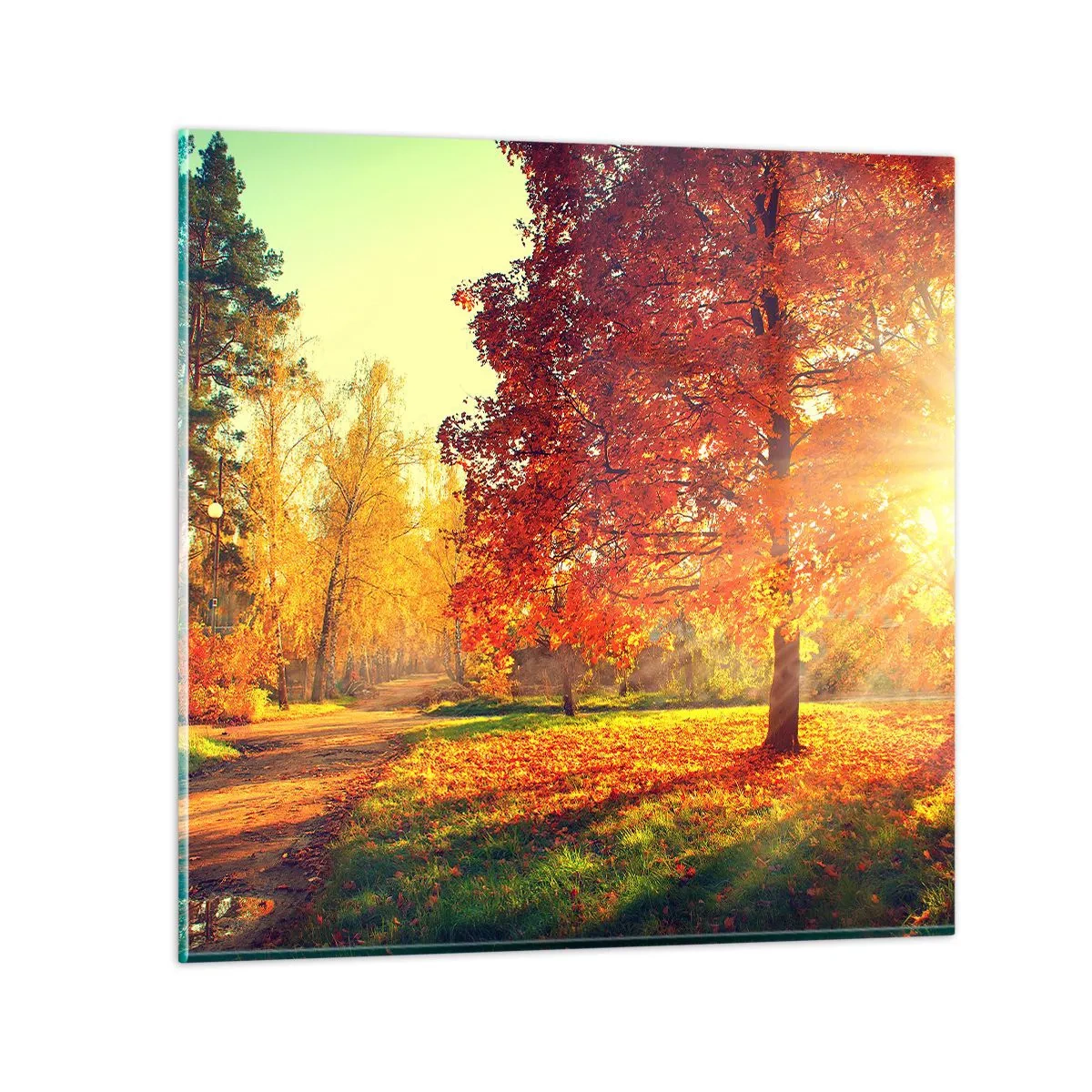 Obraz na szkle - Rude jest piękne - 50x50 cm