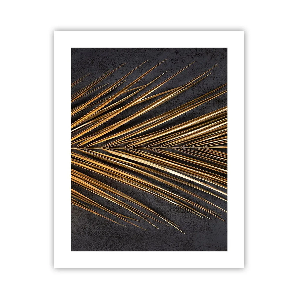 Plakat - Złoto tropików - 40x50 cm