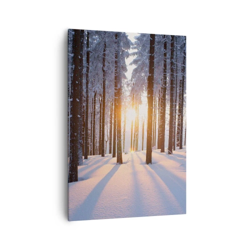 Obraz na płótnie - Zimowy las oświetlony promieniami słońca - 70x100cm - Wyraźnie czarno na białym - Nowoczesna dekoracja ścienna do salonu i sypialni ARTTOR