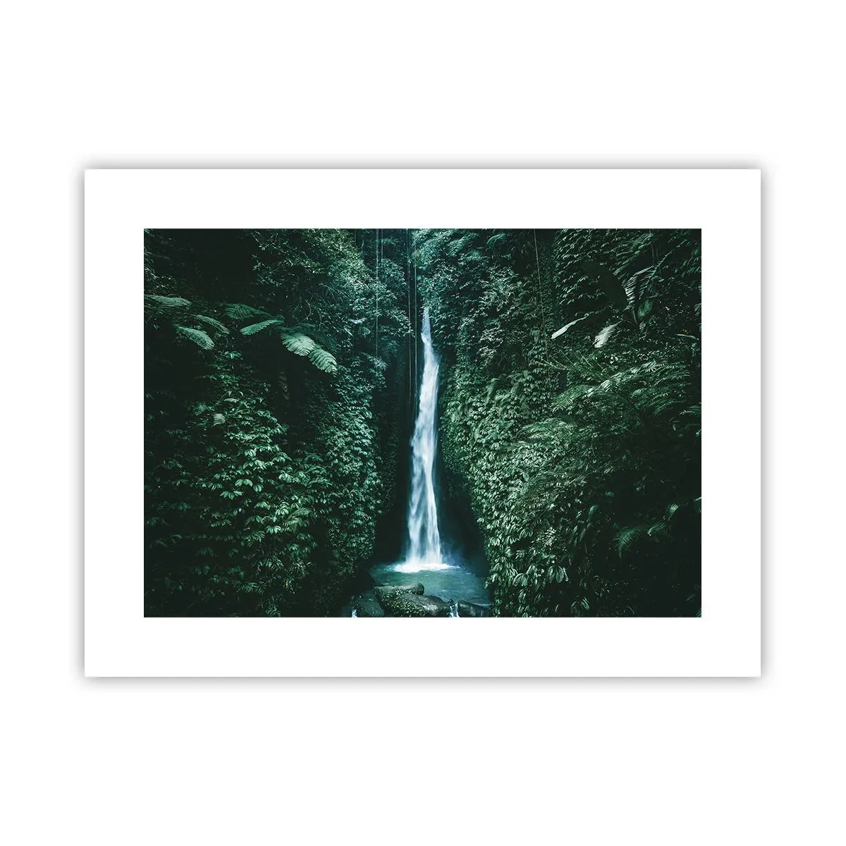 Plakat - Tropikalny zdrój - 40x30 cm